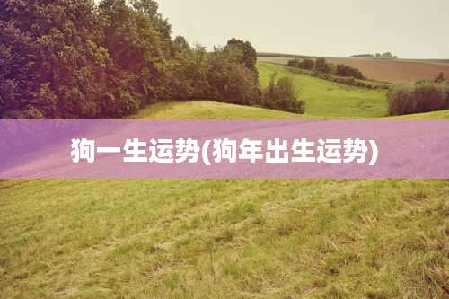 狗一生运势(狗年出生运势)