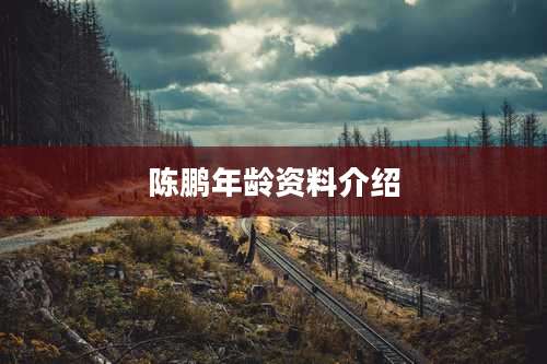 陈鹏年龄资料介绍