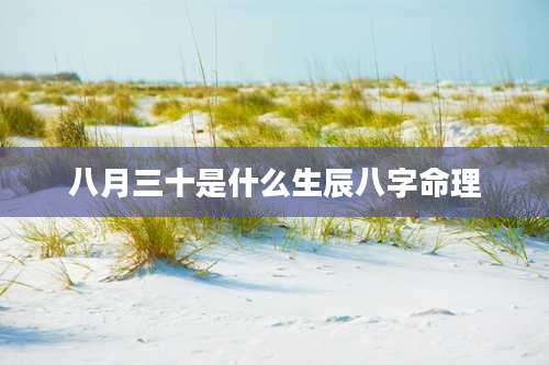 八月三十是什么生辰八字命理