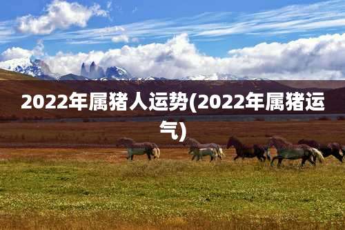 2022年属猪人运势(2022年属猪运气)