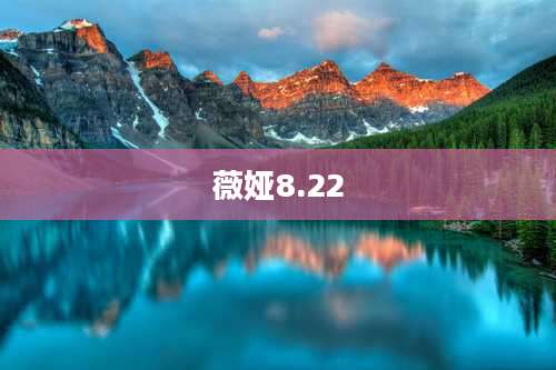 薇娅8.22