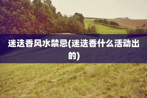 迷迭香风水禁忌(迷迭香什么活动出的)