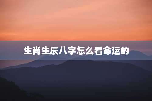 生肖生辰八字怎么看命运的