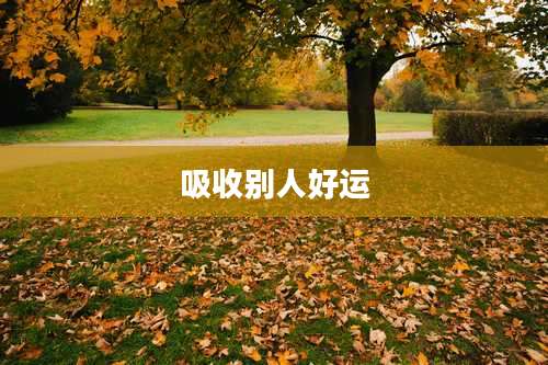 吸收别人好运