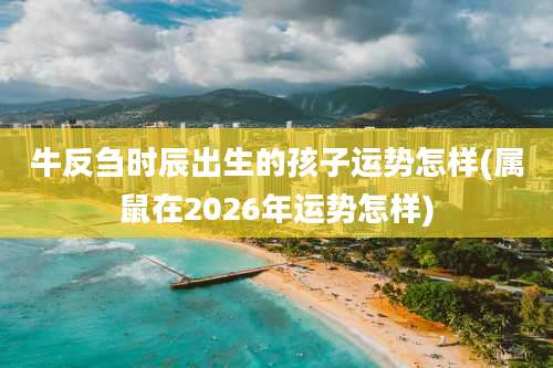牛反刍时辰出生的孩子运势怎样(属鼠在2026年运势怎样)