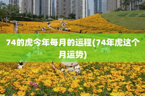 74的虎今年每月的运程(74年虎这个月运势)