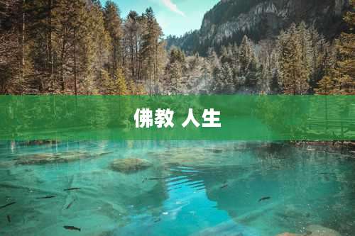 佛教 人生