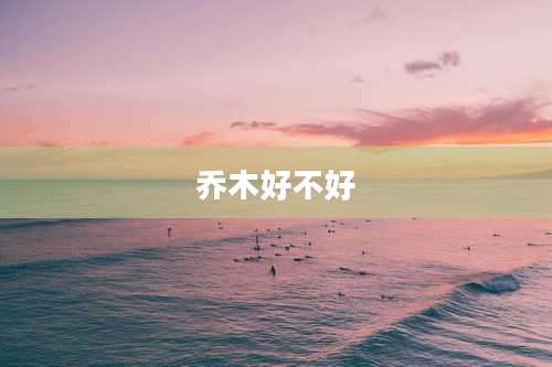 乔木好不好