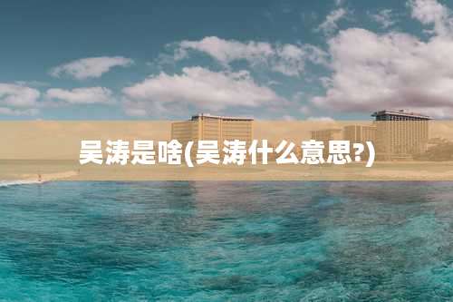 吴涛是啥(吴涛什么意思?)