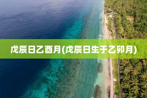 戊辰日乙酉月(戊辰日生于乙卯月)