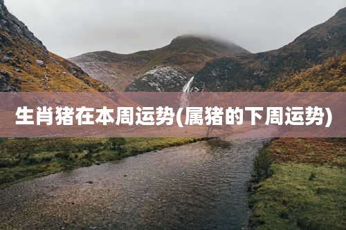 生肖猪在本周运势(属猪的下周运势)