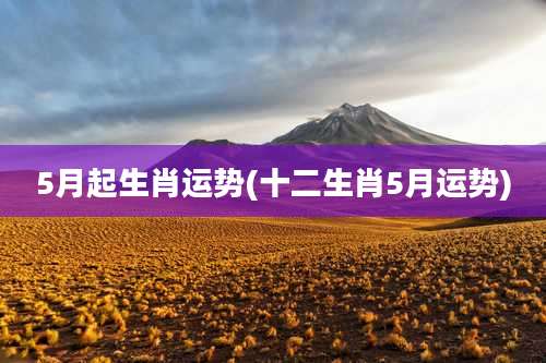 5月起生肖运势(十二生肖5月运势)