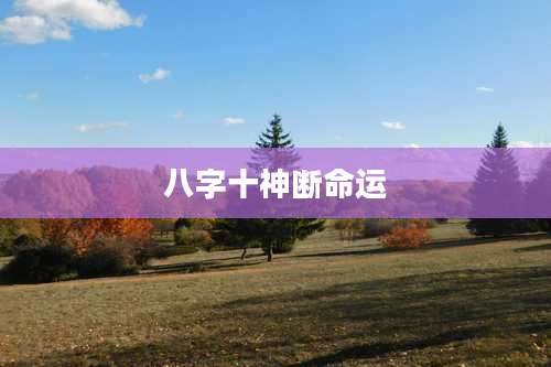八字十神断命运