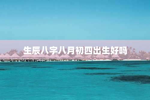 生辰八字八月初四出生好吗
