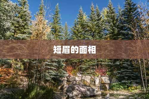 短眉的面相