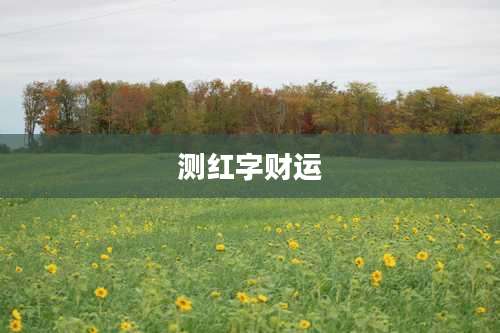 测红字财运