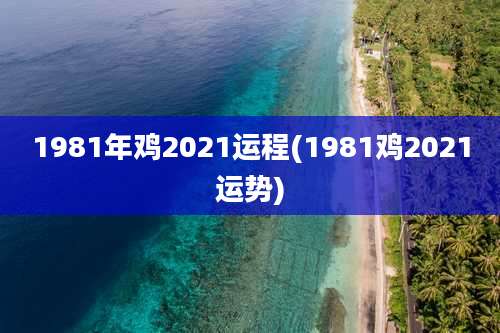 1981年鸡2021运程(1981鸡2021运势)
