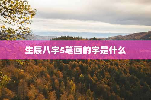 生辰八字5笔画的字是什么