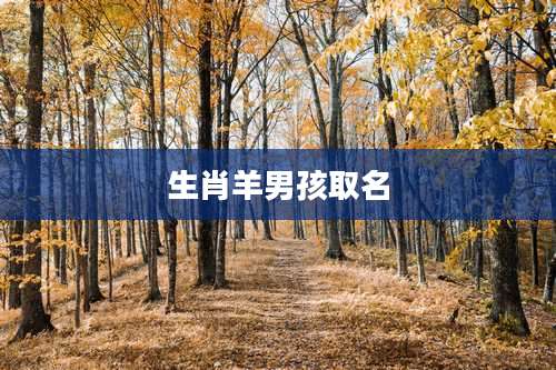 生肖羊男孩取名
