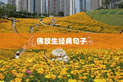 佛放生经典句子