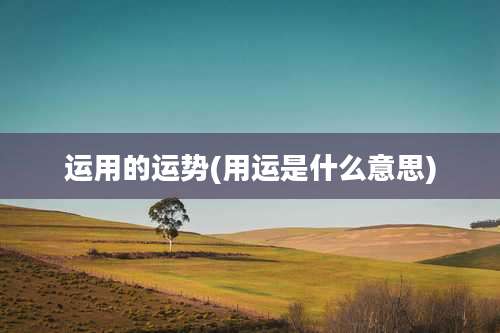 运用的运势(用运是什么意思)