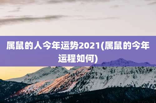 属鼠的人今年运势2021(属鼠的今年运程如何)