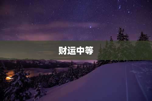 财运中等