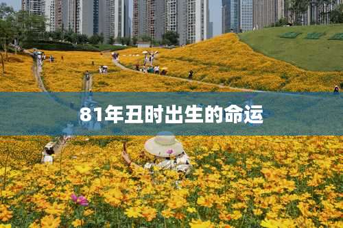 81年丑时出生的命运