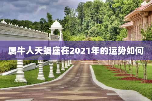 属牛人天蝎座在2021年的运势如何