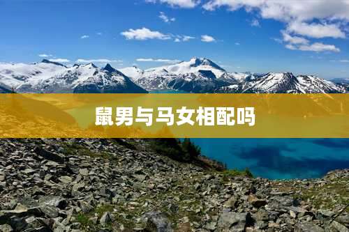 鼠男与马女相配吗