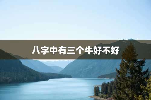 八字中有三个牛好不好