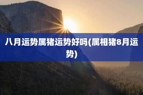 八月运势属猪运势好吗(属相猪8月运势)