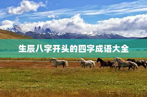 生辰八字开头的四字成语大全