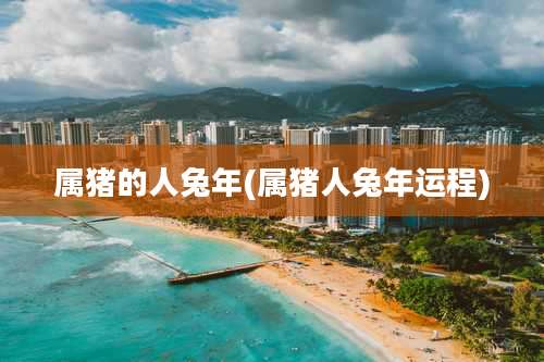 属猪的人兔年(属猪人兔年运程)