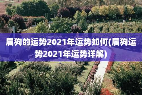 属狗的运势2021年运势如何(属狗运势2021年运势详解)