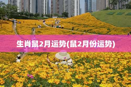生肖鼠2月运势(鼠2月份运势)