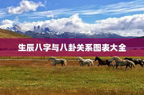 生辰八字与八卦关系图表大全