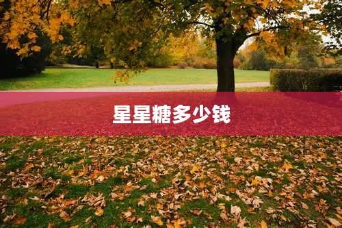 星星糖多少钱