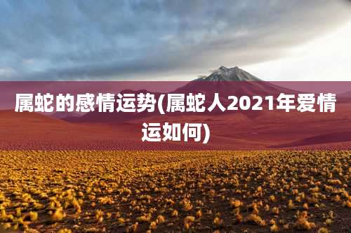 属蛇的感情运势(属蛇人2021年爱情运如何)