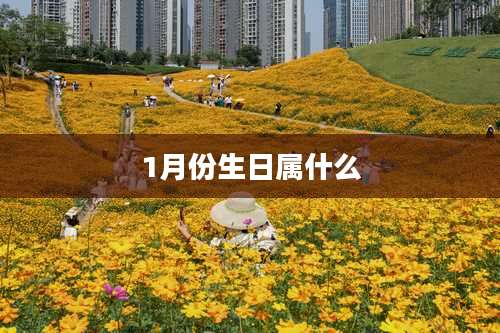 1月份生日属什么