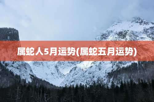 属蛇人5月运势(属蛇五月运势)