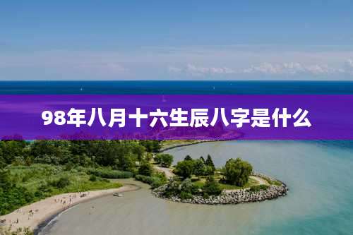 98年八月十六生辰八字是什么