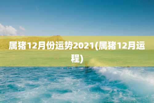 属猪12月份运势2021(属猪12月运程)