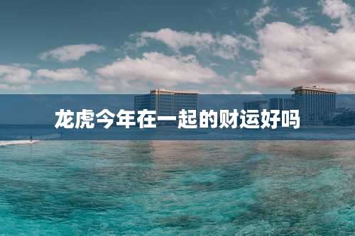 龙虎今年在一起的财运好吗