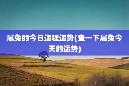 属兔的今日运程运势(查一下属兔今天的运势)