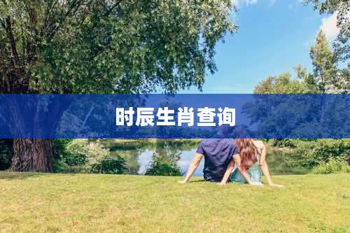 时辰生肖查询