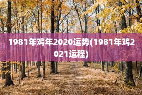 1981年鸡年2020运势(1981年鸡2021运程)