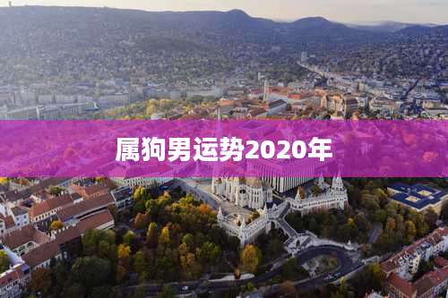 属狗男运势2020年
