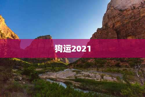 狗运2021