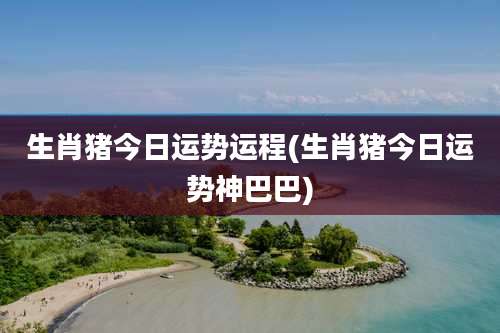 生肖猪今日运势运程(生肖猪今日运势神巴巴)